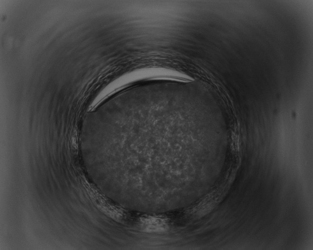 X0000051890561200507020058