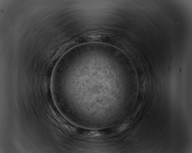 X0000051890562200507020058