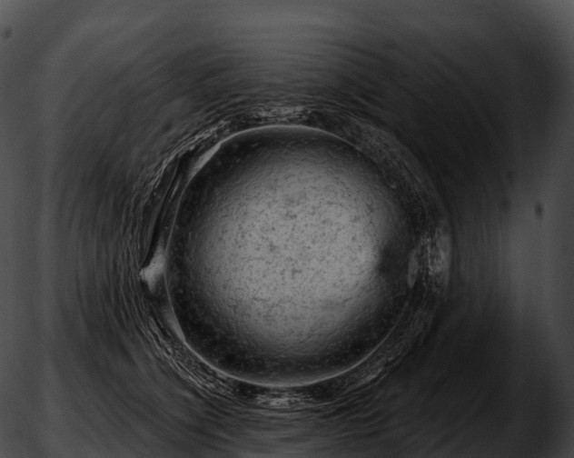 X0000051890564200507020059