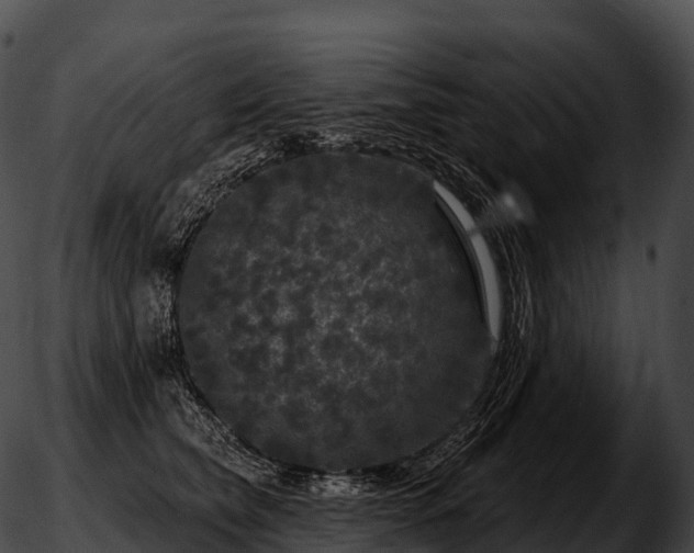 X0000051890565200507020059