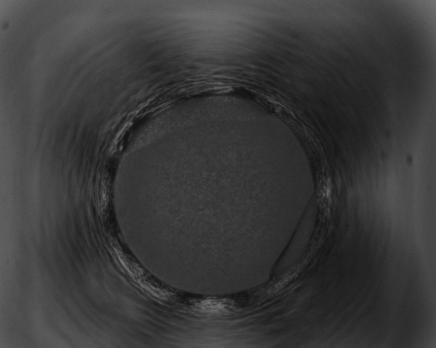 X0000051890566200507020059