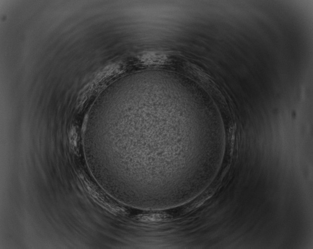 X0000051890567200507020059