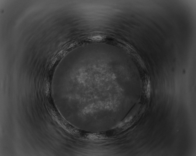 X0000051890568200507020059