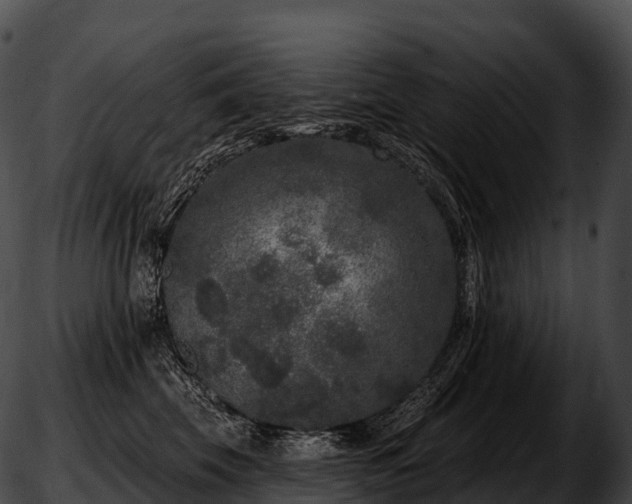 X0000051890569200507020059