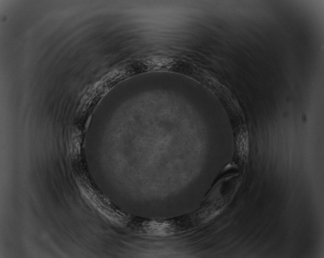 X0000051890570200507020059