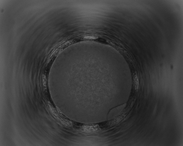 X0000051890571200507020059