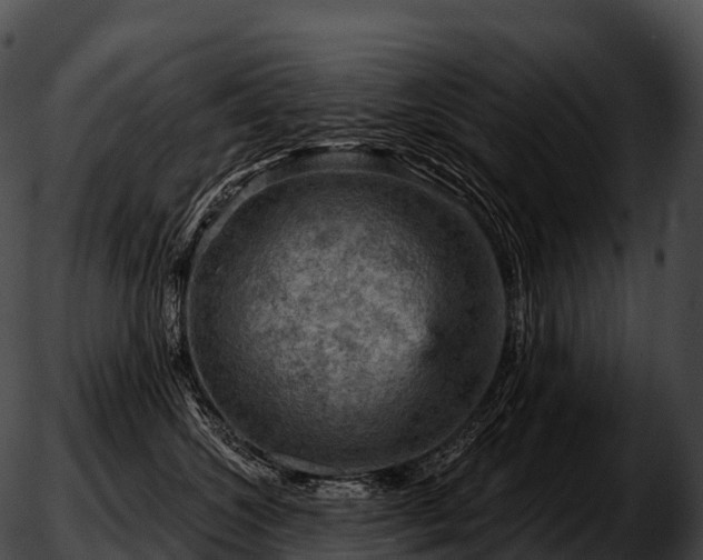 X0000051890572200507020059