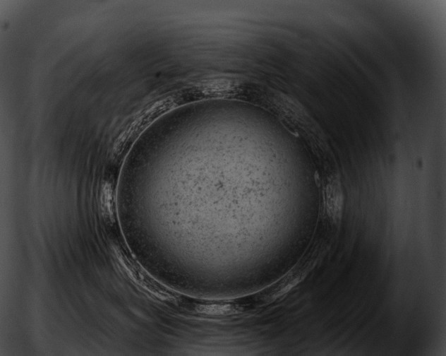 X0000051890575200507020059