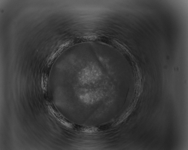 X0000051890576200507020059