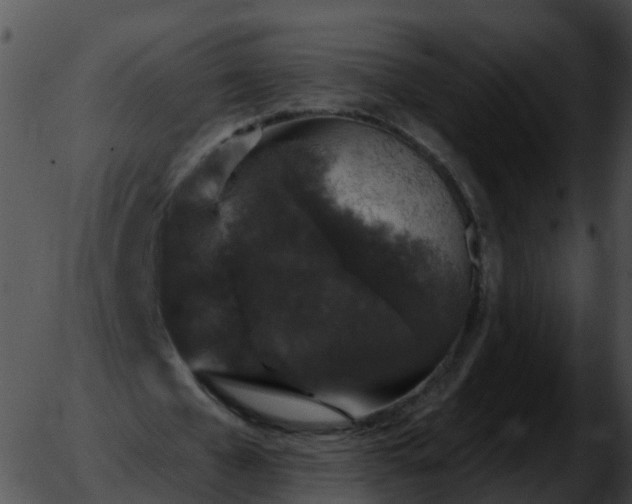 X0000051890577200507020058