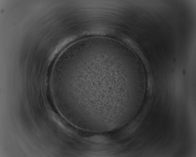 X0000051890578200507020058