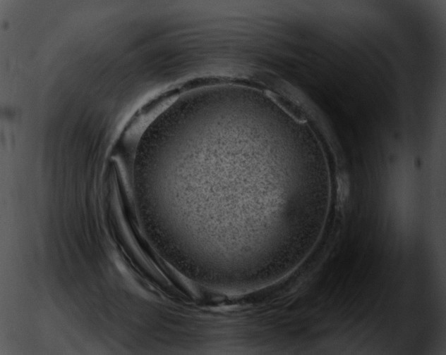 X0000051890580200507020058