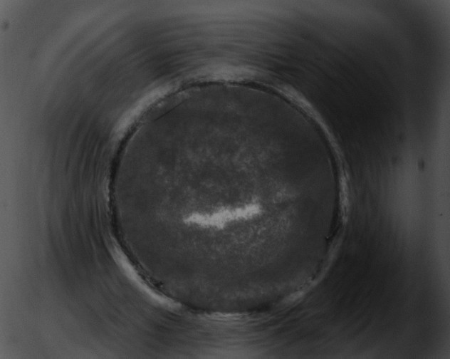 X0000051890581200507020058