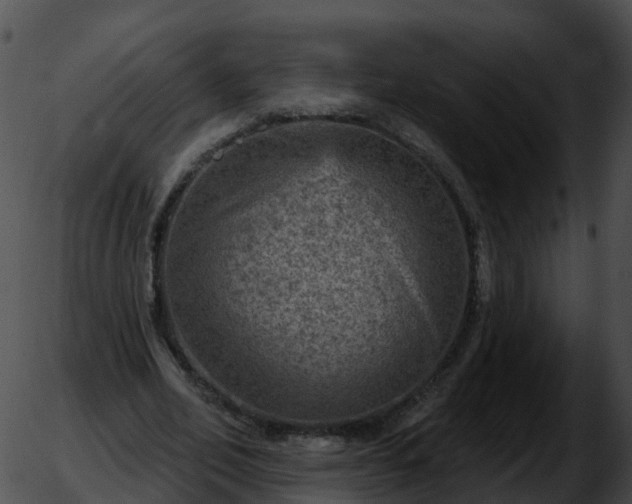 X0000051890582200507020058