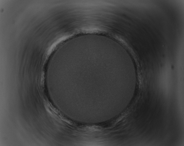 X0000051890583200507020058