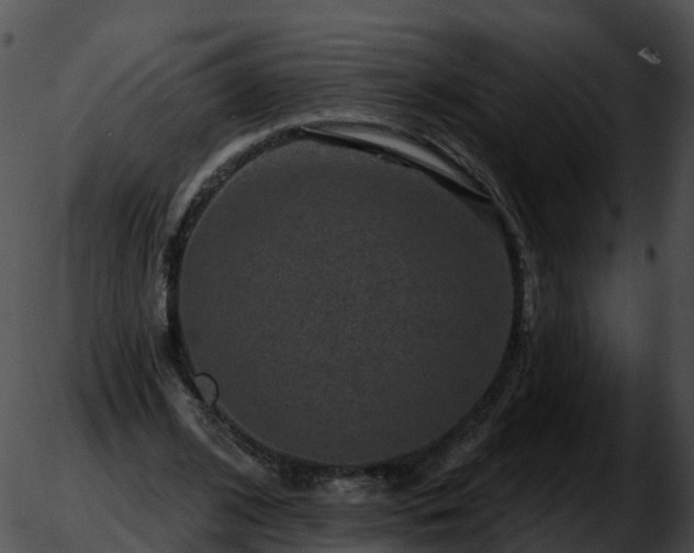 X0000051890584200507020058