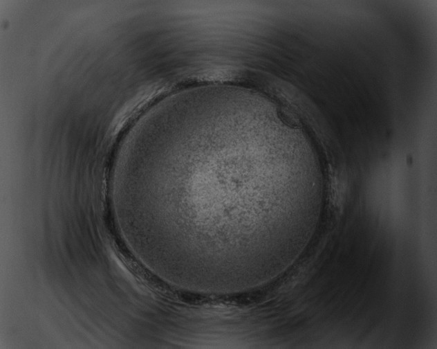 X0000051890586200507020058