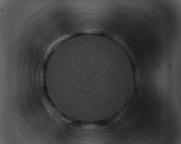 X0000051890587200507020058