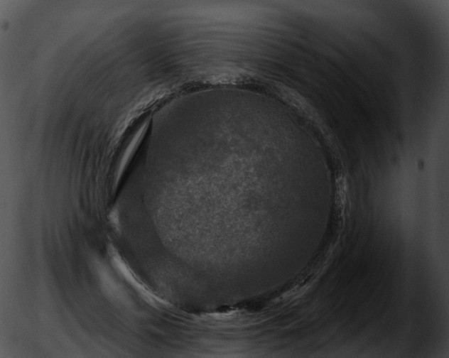 X0000051890589200507020058