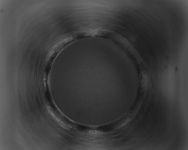 X0000051890590200507020058