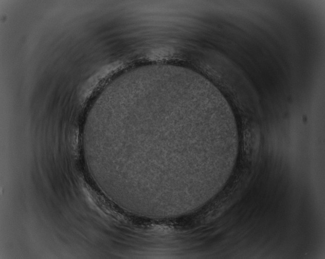 X0000051890592200507020058