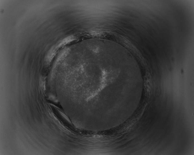 X0000051890593200507020058