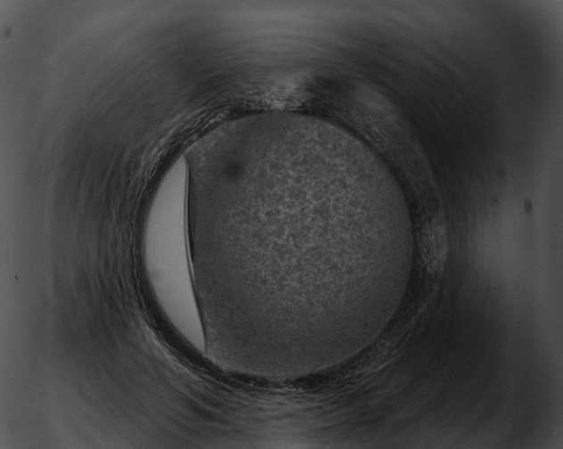 X0000051890594200507020058