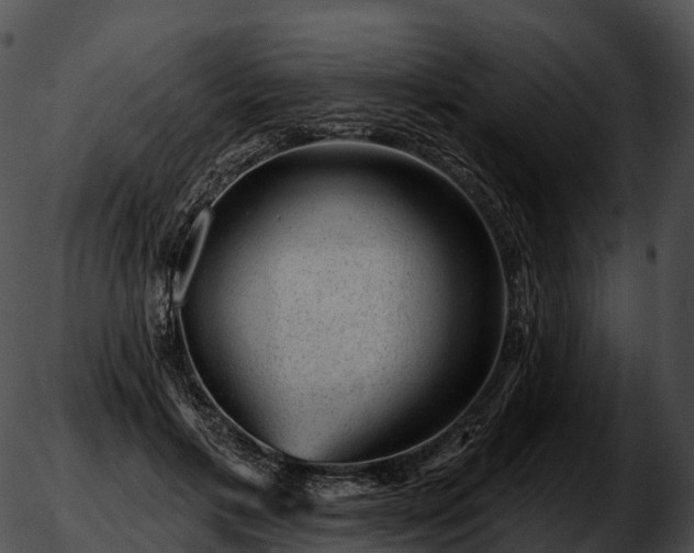 X0000051890597200507020058