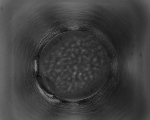 X0000051890598200507020058