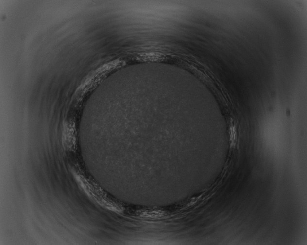 X0000051890599200507020058