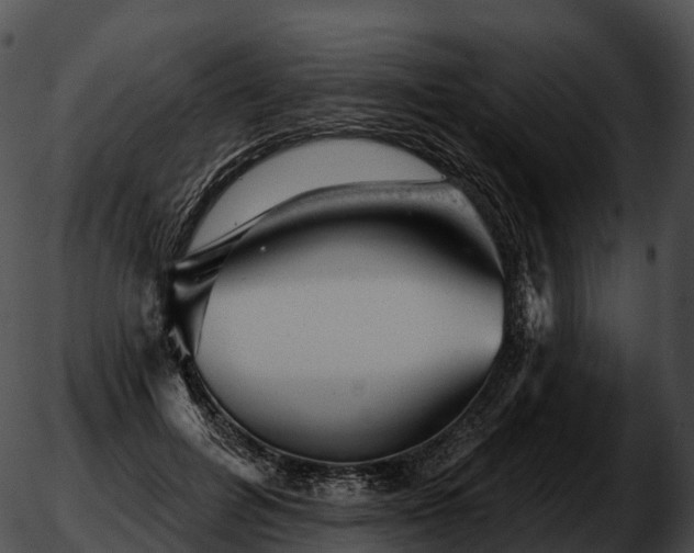 X0000051890600200507020058