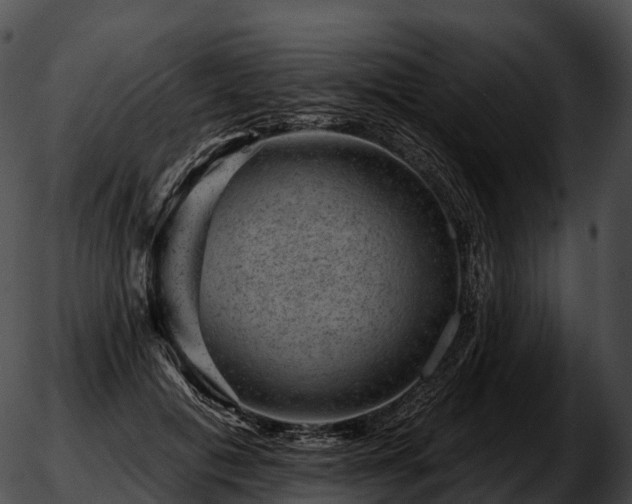 X0000051890601200507020058