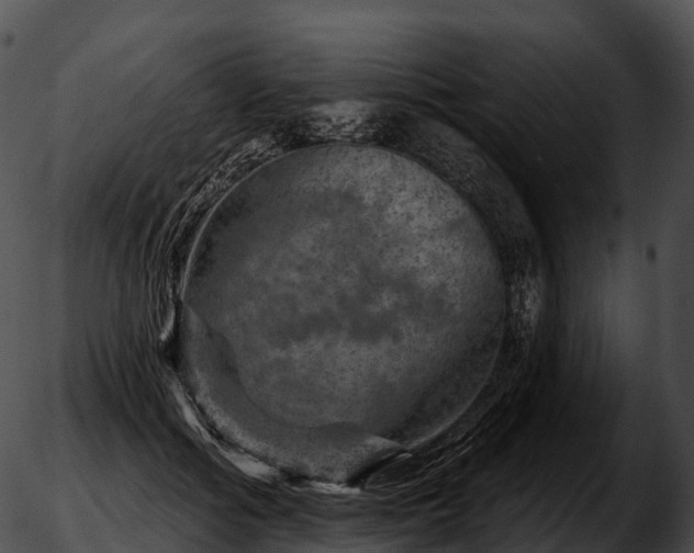 X0000051890602200507020058