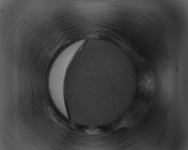 X0000051890603200507020058