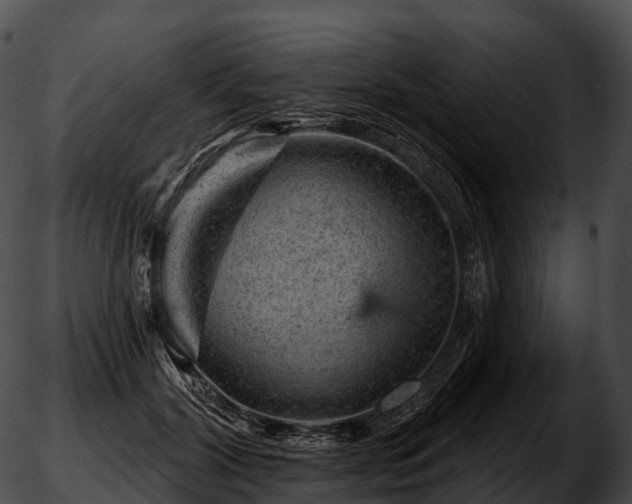 X0000051890604200507020057