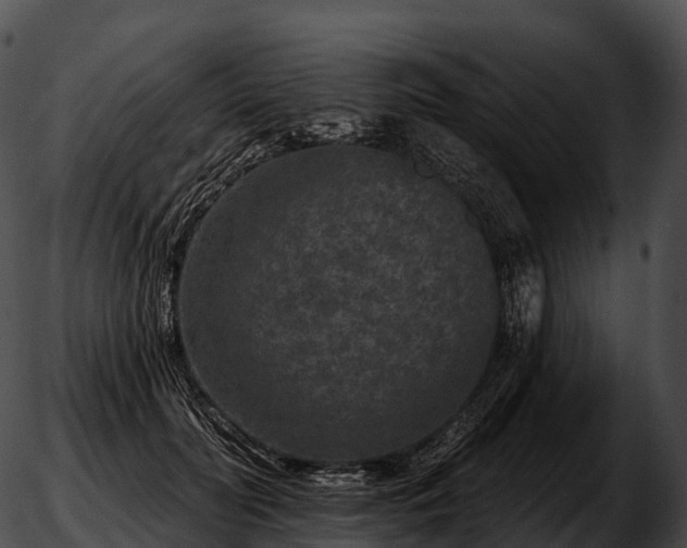 X0000051890606200507020057