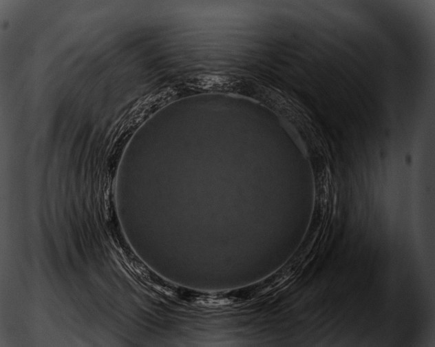 X0000051890607200507020057