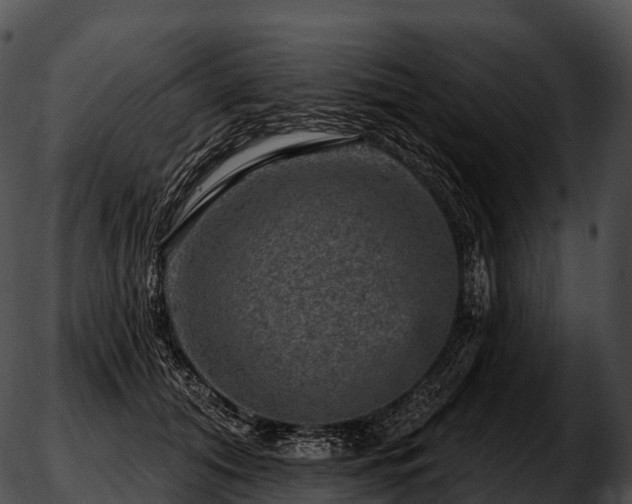 X0000051890608200507020057