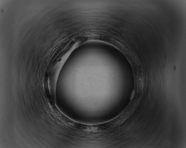 X0000051890609200507020057