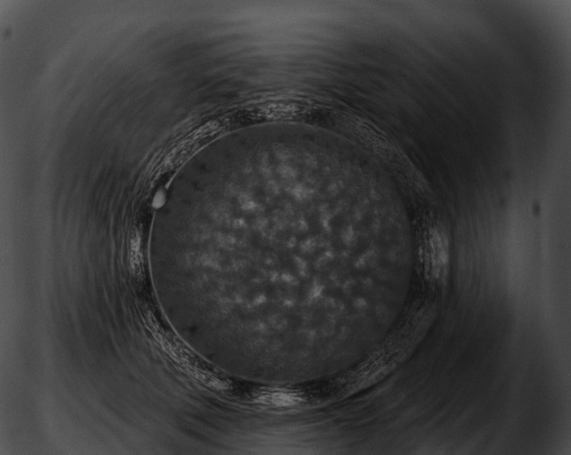 X0000051890610200507020057