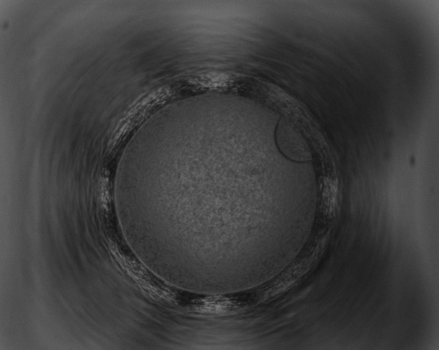 X0000051890612200507020057