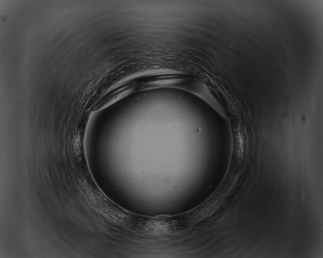 X0000051890613200507020057