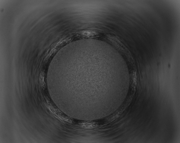 X0000051890615200507020057