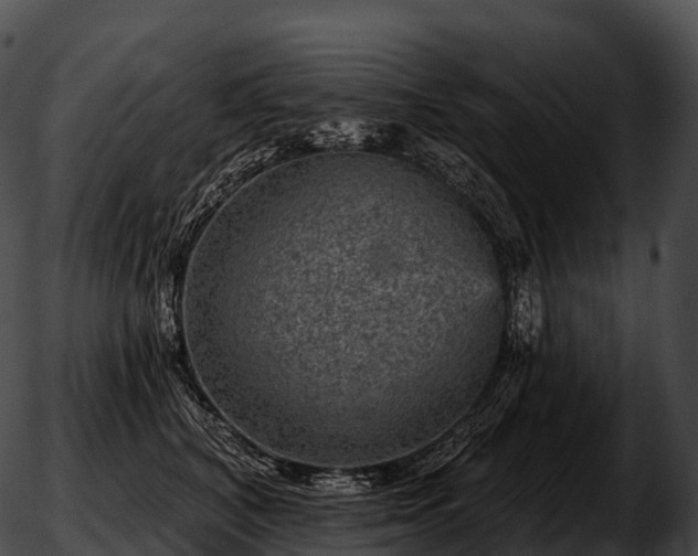 X0000051890616200507020057