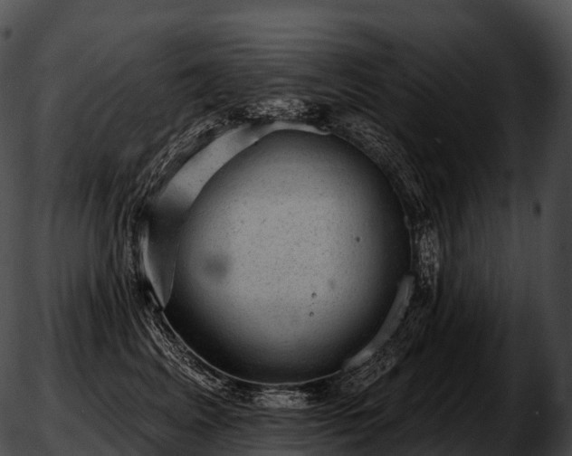 X0000051890617200507020057