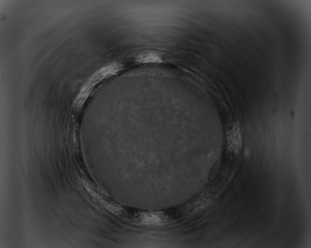 X0000051890618200507020057