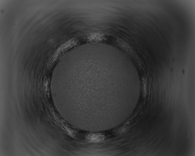 X0000051890619200507020057