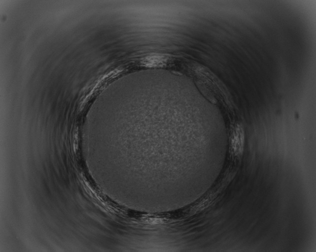 X0000051890620200507020057