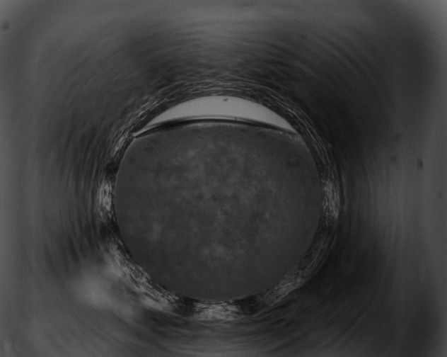 X0000051890621200507020057