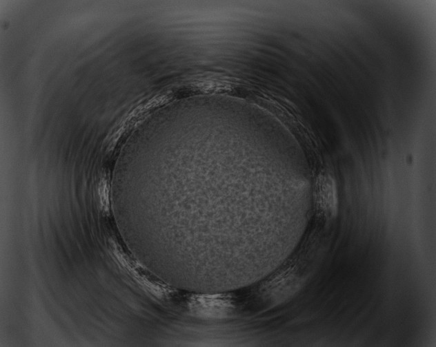 X0000051890622200507020057